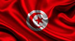 Tunus'ta Seçimin Galibi Nahda Hareketi