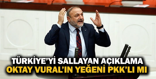 HDP'li vekilden Oktay Vural'ı kızdıracak PKK çıkışı