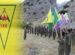 PKK'nın kurduğu son örgüt: YRK