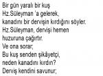 Yaralı Kuş