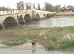 Edirne'de Köpek Kurtarma Operasyonu 