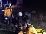 Çarptı Yoluna Devam Etti, Merak Edip Geri Döndü