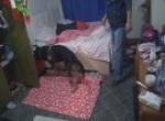  Fuhuş operasyonunda AIDS şoku!