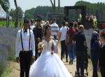 Lavanta tarlası fotoğraf stüdyosuna döndü