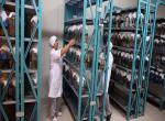 Tıbbi sülük talebine yetişemiyorlar