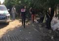 OKUL ÇEVRESİNDEKİ SALDIRGAN VE SAHİPSİZ KÖPEKLER TOPLATILARAK BAKIMDAN GEÇİRİLECEK
