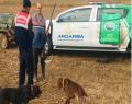 JANDARMA EKİPLERİNİN AVCILARA YÖNELİK KONTROLLERİ SÜRÜYOR