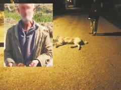 Köpeği öldürdü, kendini ‘mehdi’ ilan etti