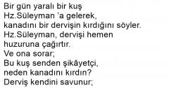 Yaralı Kuş