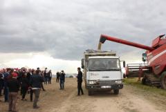 AK Parti Edirne İl Başkanı Belgin İba, Edirne’de ilk defa damla sulama yöntemi ile ekilen çeltik hasadına katıldı