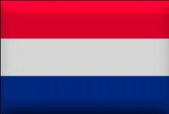 Hollanda'da Camiye Saldırı