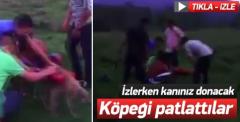 Köpeği patlattılar