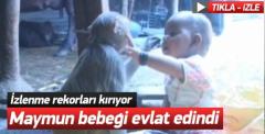 Maymun bebeği adeta evlat edindi